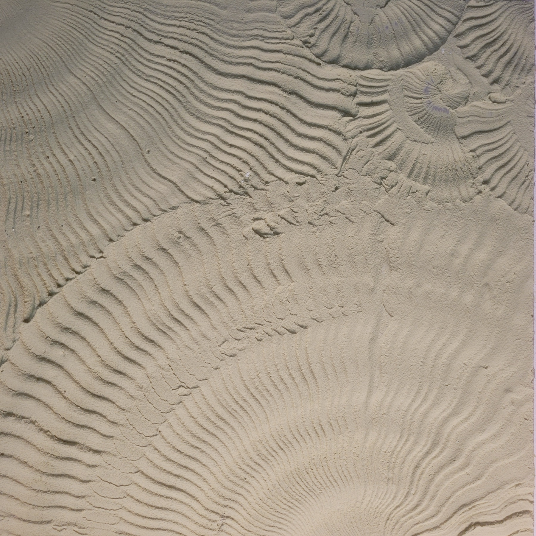 DINWORX surface study 19